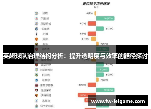 英超球队治理结构分析：提升透明度与效率的路径探讨