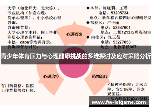 青少年体育压力与心理健康挑战的多维探讨及应对策略分析